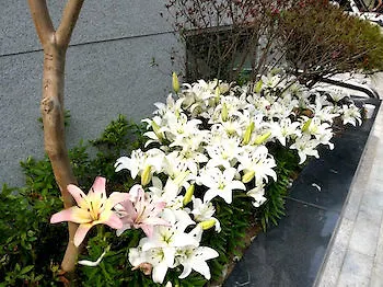 Bb Hongdae Apartment Seoul
